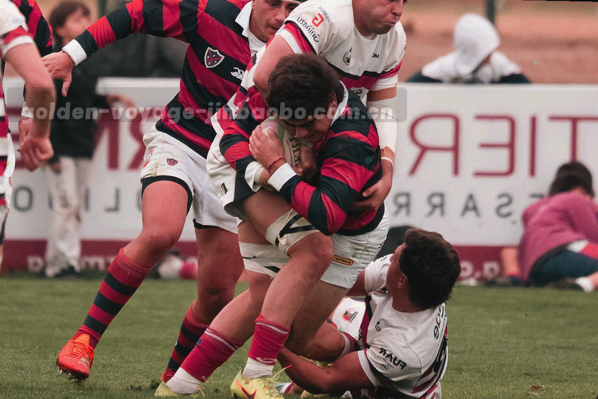 勾选列表与压缩下载包图标并排，暖金与深蓝形成对比